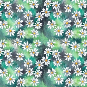 daisies watercolor (small sale)