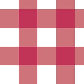Gingham - Pink - Hopland Fabrics
