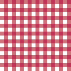 Viva Magenta Gingham - Small (2023 COTY Collection)