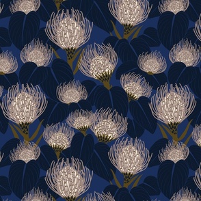 Gothic Pincushion Protea - Blue