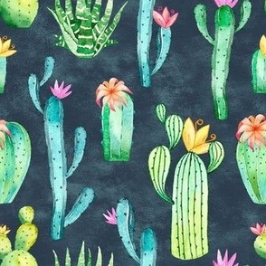 Medium Scale Watercolor Cactus Succulent Flowers on Navy
