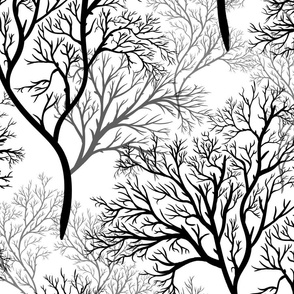 bare trees black and grey on white large scale