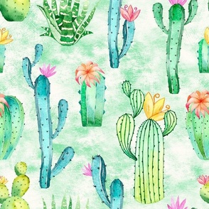 Large Scale Watercolor Cactus Succulent Flowers on Ivory