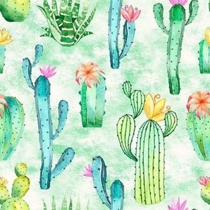 Medium Scale Watercolor Cactus Succulent Flowers on Ivory