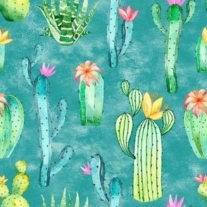 Medium Scale Watercolor Cactus Succulent Flowers on Turquoise