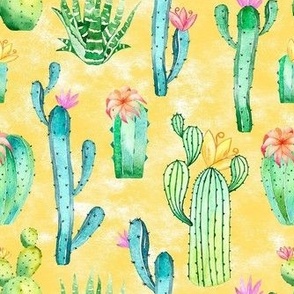 Medium Scale Watercolor Cactus Succulent Flowers on Golden Yellow