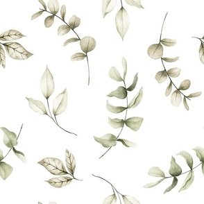 large // greenery, nursery, botanical, watercolor greenery aesthetic, eucalyptus leaves on white // edition 1