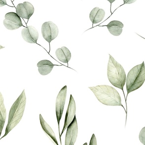 jumbo // watercolor eucalyptus, olive leaf, greenery, leaves, plants, foliage on white // edition 2