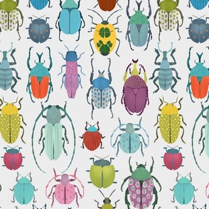 tutti beetles on white