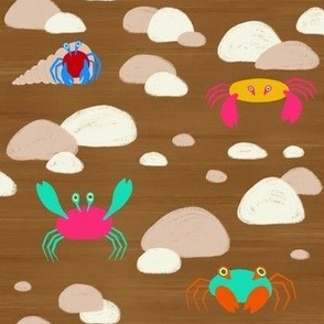 Crabs on the beach - wet sand