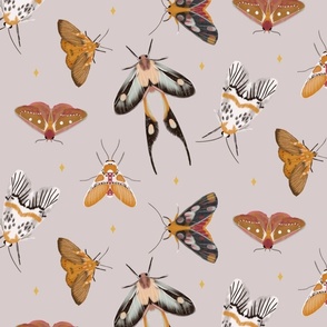 Magical Moths (large scale) -mauve background - hand drawn illustration 
