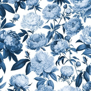 Nostalgic Peonies Monochrome Blue Charming Spring Flowers
