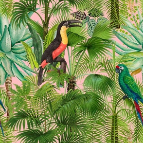 Tropical,jungle,toucan,parrot,birds,exotic,palm trees