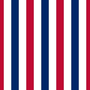 Red White and Blue Vertical Stripes