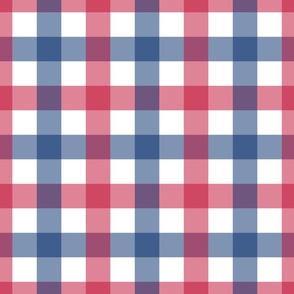 Red White and Blue Gingham
