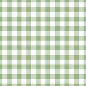 Soft Grass Green Gingham Plaid / Large