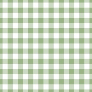 Soft Grass Green Gingham Plaid / Medium