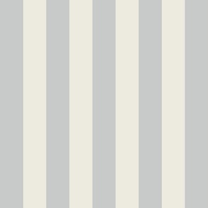 stripe-duotone_ivory_Gray_c7cac9