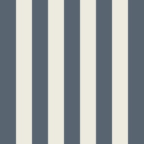 stripe-duotone_slate_c7cac9_ivory