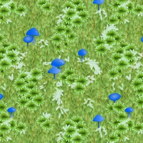 Moss and Sky Blue mushroom Wonderland