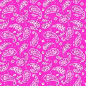 Bandana Inspired Paisley in Hot pink