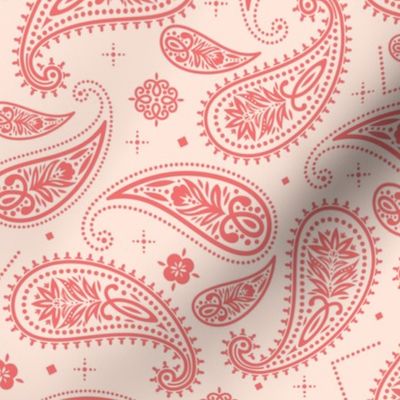 Bandana Inspired Paisley Print in Pink