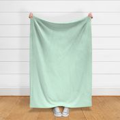 chevron no2 ice mint green