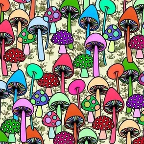 Fun Guy Shrooms