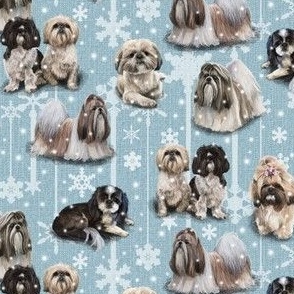 Shih Tzu Christmas 