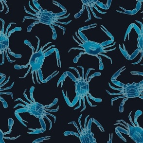 Blue Swimmer Crabs, dark