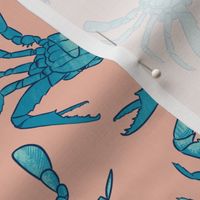 Blue Swimmer Crabs, pink