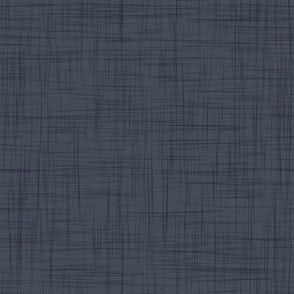 Small scale // hale navy blue linen texture // coordinate design