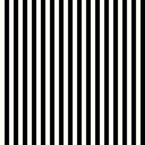 Stripe Binding - Black/Natural - 1/4"