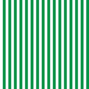 Stripe Binding - Bright Green/White - 1/4"