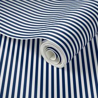 Stripe Binding - Navy/White - 1/4"
