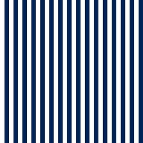 Stripe Binding - Navy/White - 1/4"