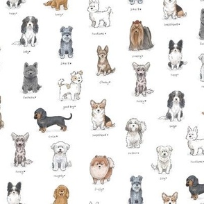 Small Dog Breeds