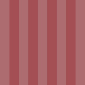 stripe_astro-dust-light_a44f53