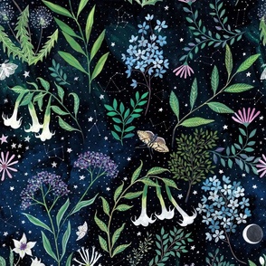 Moon Garden, flowers that bloom at night with star constellations and beautiful little moths