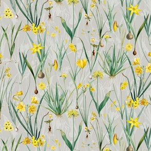 Nostalgic Hand Painted Antique Springflowers Antiqued Yellow Early Bloomers, Vintage Daffodil, Bulbs Flowers by Pierre-Joseph Redouté  gray double layer