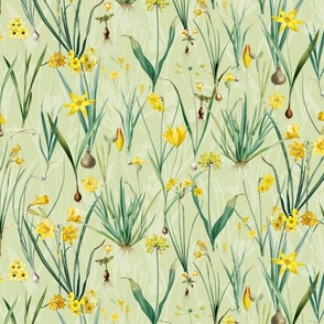 Nostalgic Hand Painted Antique Springflowers Antiqued Yellow Early Bloomers, Vintage Daffodil, Bulbs Flowers by Pierre-Joseph Redouté spring green double layer