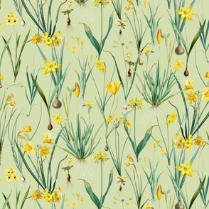 Nostalgic Hand Painted Antique Springflowers Antiqued Yellow Early Bloomers, Vintage Daffodil, Bulbs Flowers by Pierre-Joseph Redouté  green