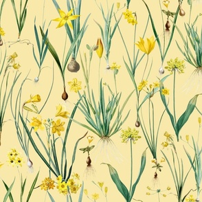 Nostalgic Hand Painted Antique Springflowers Antiqued Yellow Early Bloomers, Vintage Daffodil, Bulbs Flowers by Pierre-Joseph Redouté  yellow