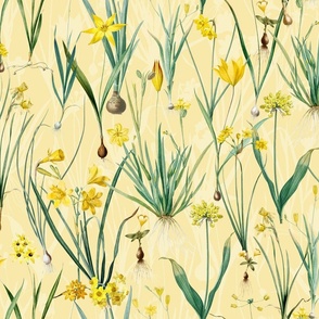 Nostalgic Hand Painted Antique Springflowers Antiqued Yellow Early Bloomers, Vintage Daffodil, Bulbs Flowers by Pierre-Joseph Redouté yellow double layer