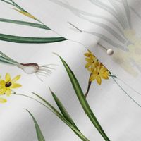 Nostalgic Hand Painted Antique Springflowers Antiqued Yellow Early Bloomers, Vintage Daffodil, Bulbs Flowers by Pierre-Joseph Redouté  white