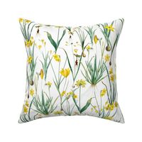 Nostalgic Hand Painted Antique Springflowers Antiqued Yellow Early Bloomers, Vintage Daffodil, Bulbs Flowers by Pierre-Joseph Redouté  white