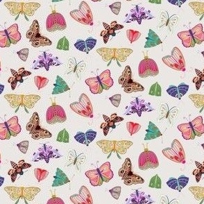 Butterflies 