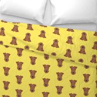 Airedale on Yellow