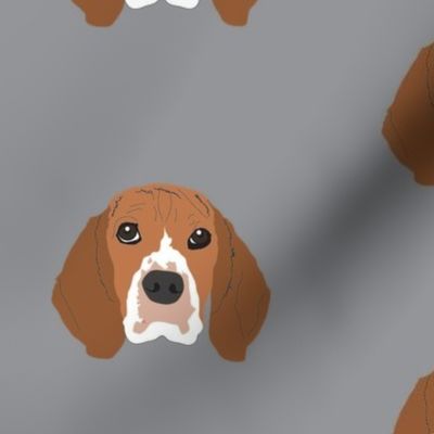 Beagle on Gray