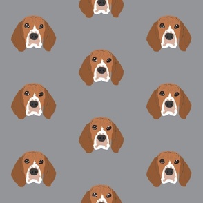 Beagle on Gray